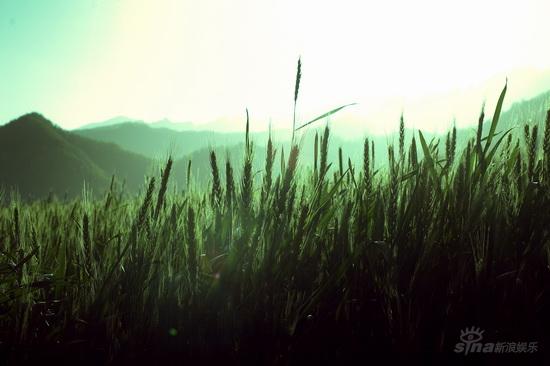 http://www.fjsenfa.cn/pics/default/download/13ab9b816c45b53fd9cf74309c799d5a.jpg