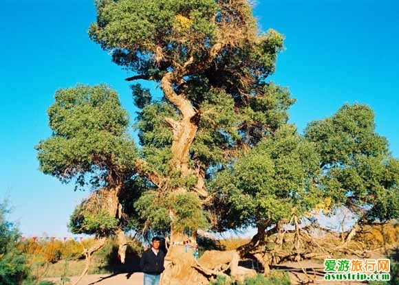 http://www.fjsenfa.cn/pics/default/download/13e9f74fa5f7dac0fe0635f5ad29a887.jpg