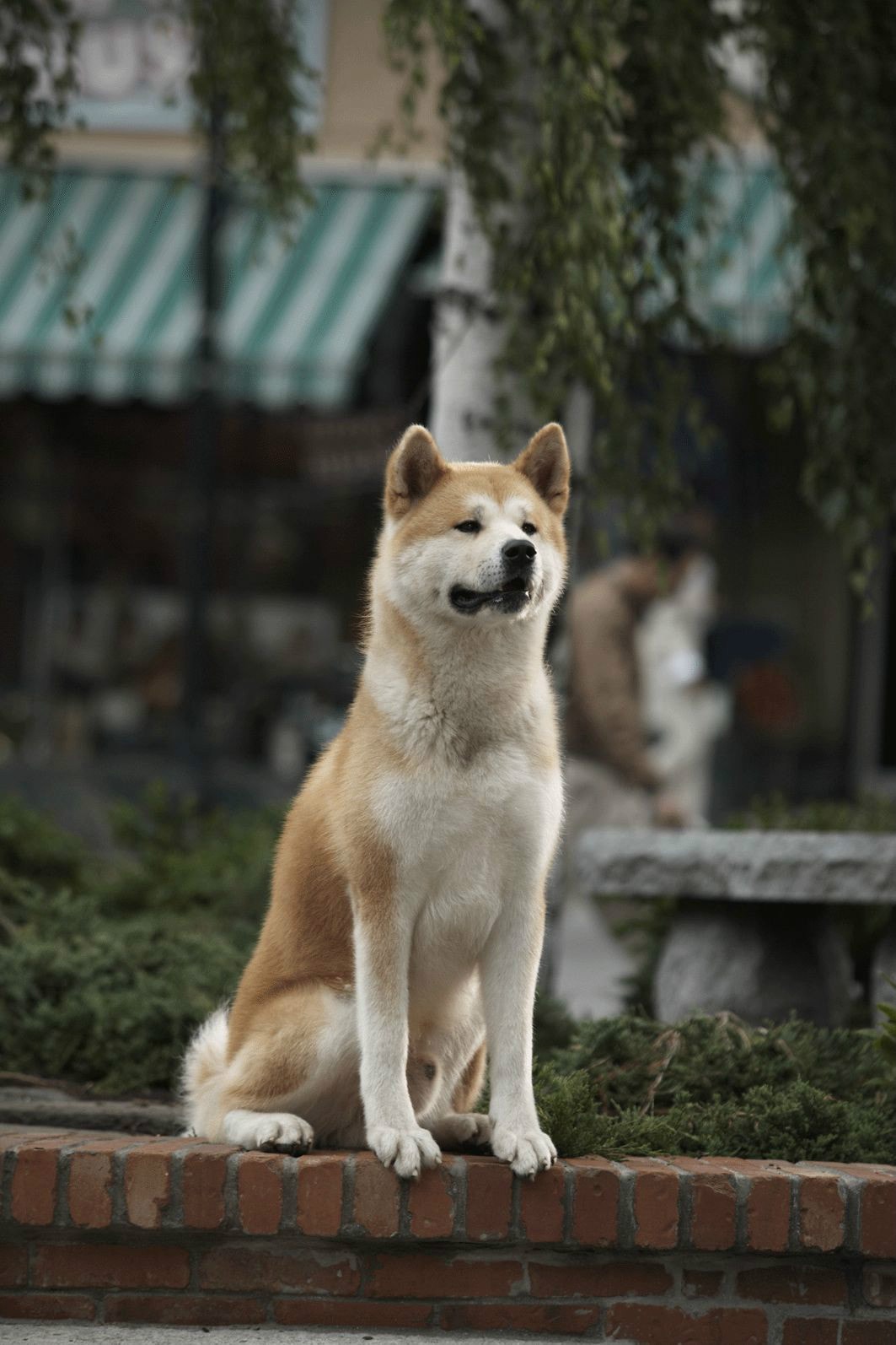 http://www.fjsenfa.cn/pics/default/download/1409b5d56df771a5b962e3c5e159f17d.jpg