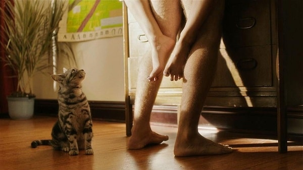 http://www.fjsenfa.cn/pics/default/download/150097d7a2732fd4e162b5294d7880d3.jpg