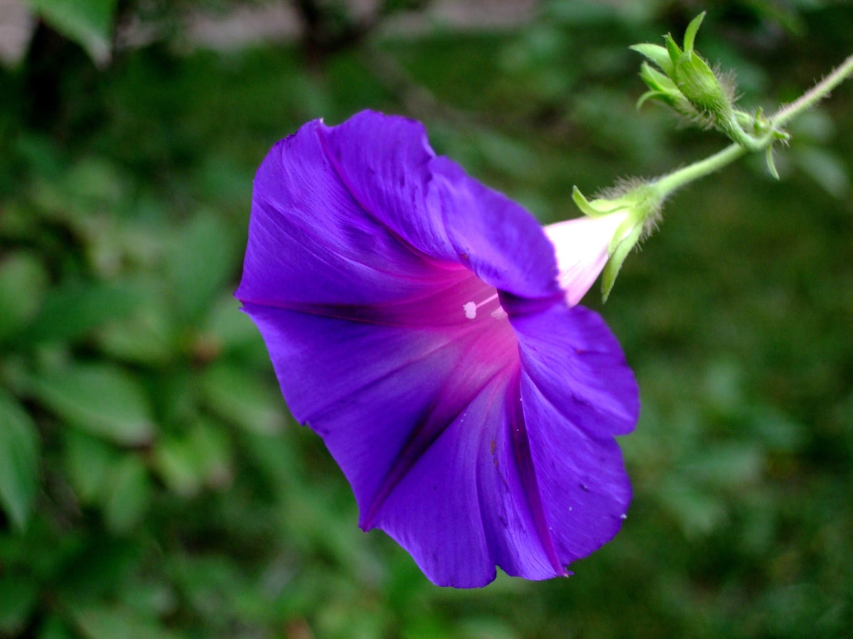 http://www.fjsenfa.cn/pics/default/download/151aae8500852809a35f37fd083c9e4c.jpg