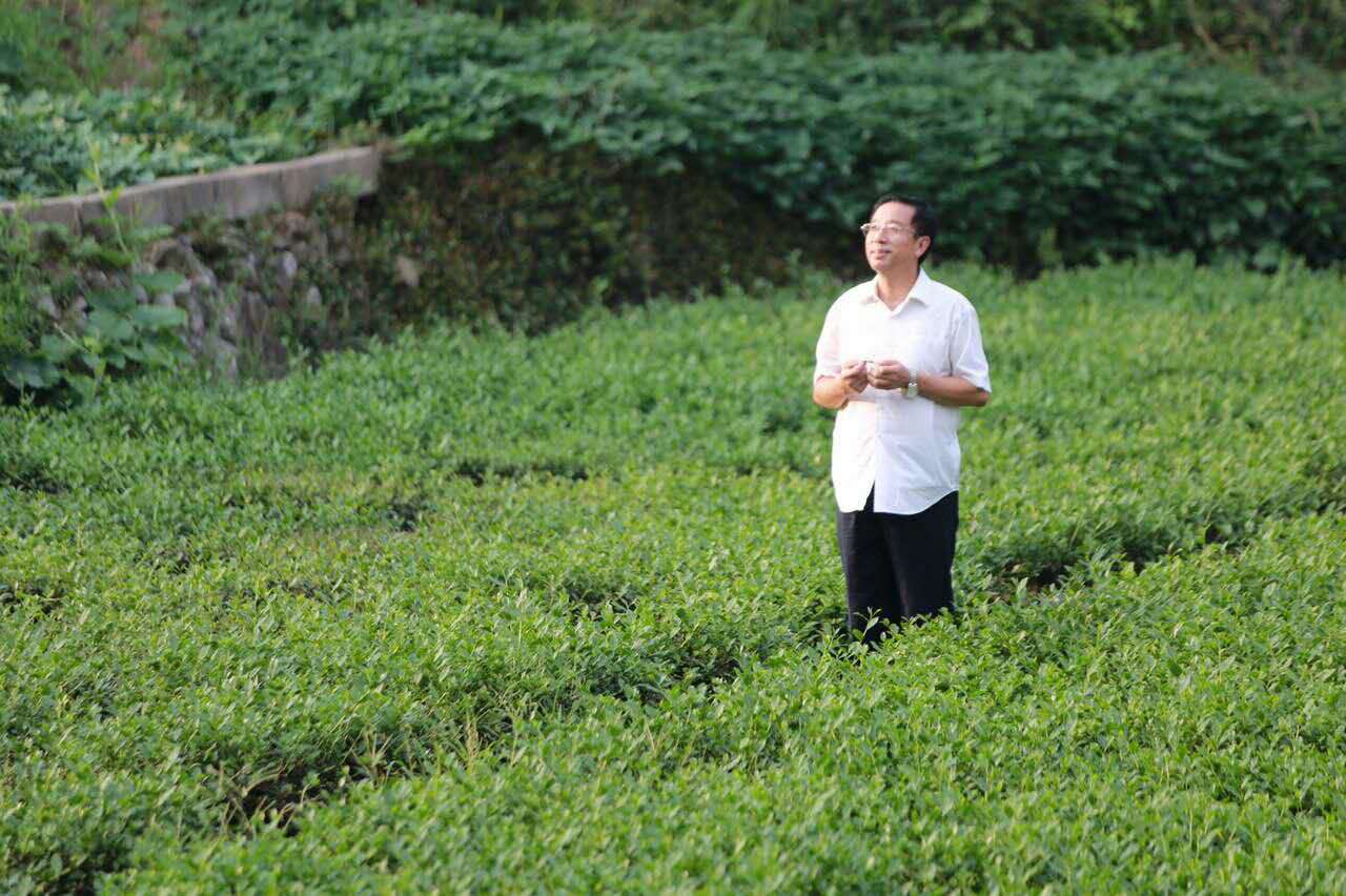http://www.fjsenfa.cn/pics/default/download/1529078aa7557f3f5ffd3a3e0f8301ea.jpg