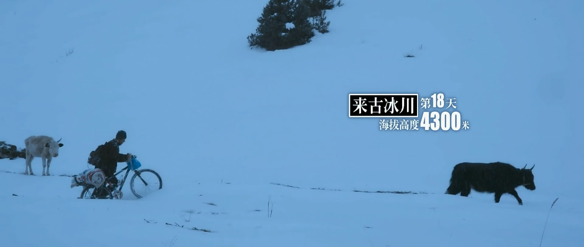 http://www.fjsenfa.cn/pics/default/download/1541974da5eec554bcbf7a3a2085042f.jpg