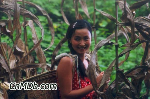 http://www.fjsenfa.cn/pics/default/download/156a4a634825eca48e9b994144f2835c.jpg