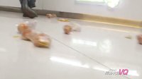 《傳說中的VQ》花絮乞丐鬧事1