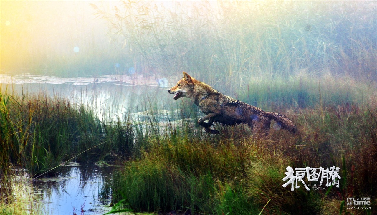http://www.fjsenfa.cn/pics/default/download/179c0dc88db63cdb4e8d5f3d0a0489d1.jpg