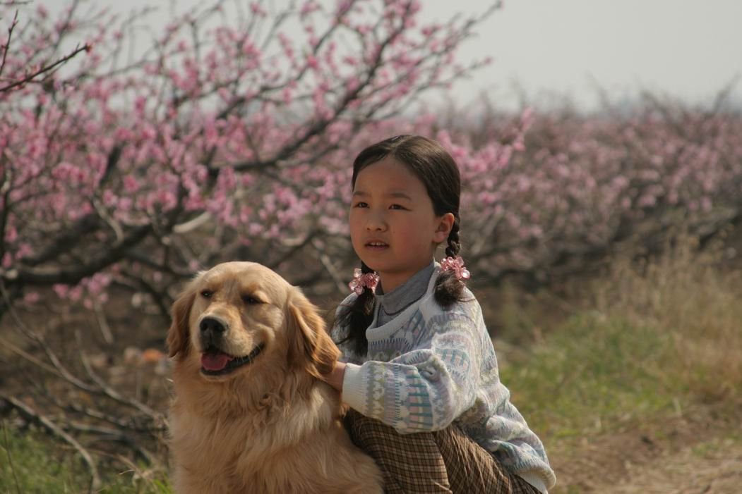 http://www.fjsenfa.cn/pics/default/download/179e54e8d41fb7d41db8126cd4fc7ce9.jpg