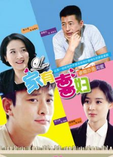家有喜婦 TV版