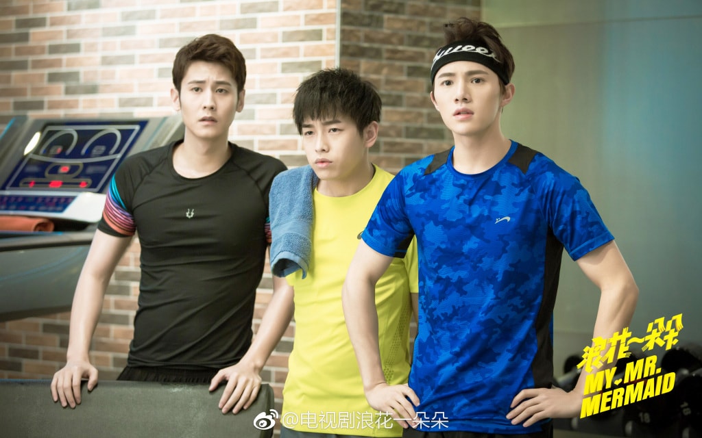 http://www.fjsenfa.cn/pics/default/download/1813/564125fcdee90c207661643f293a.jpg