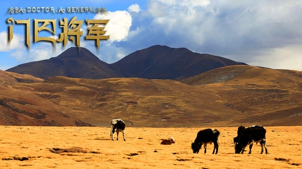 http://www.fjsenfa.cn/pics/default/download/1825cc36b616d6690c18a842e2b3ab96.jpg