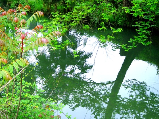 http://www.fjsenfa.cn/pics/default/download/188bd6ae4b1e971c39b5fef9c54f14aa.jpg