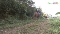 神探包青天預(yù)告片41