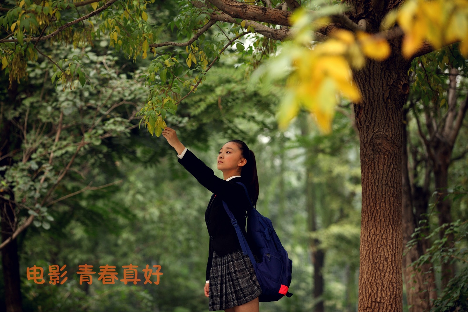 http://www.fjsenfa.cn/pics/default/download/191b72c07e1a1da43f11f94e7eed35f6.jpg