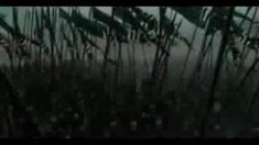 劇場版預告片2