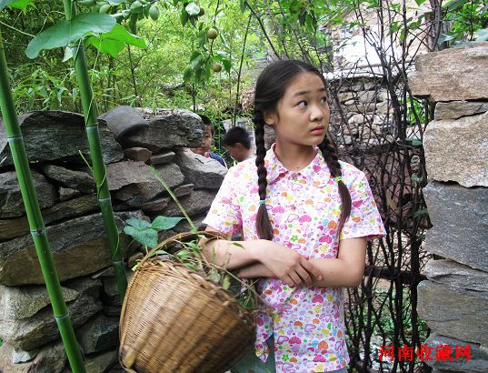 http://www.fjsenfa.cn/pics/default/download/19795b736a02a00977e95baa0e521518.jpg