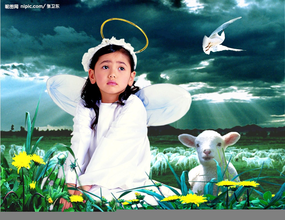 http://www.fjsenfa.cn/pics/default/download/1988c10328c8ba13f0f36d3c4130161d.jpg