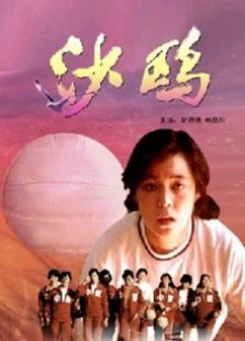 沙鷗