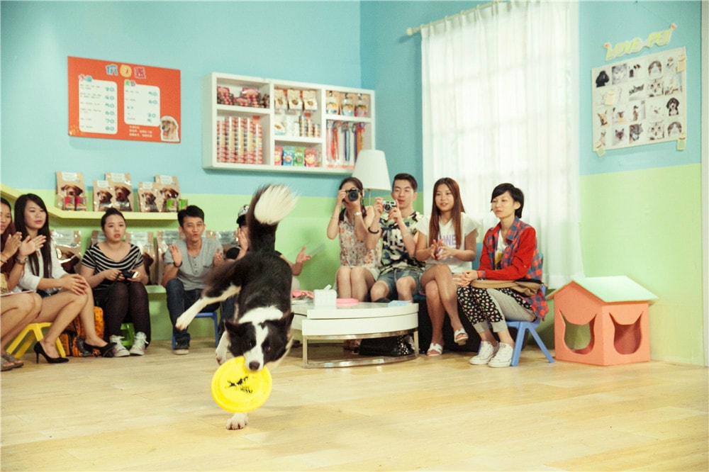 http://www.fjsenfa.cn/pics/default/download/1a5235e1610110f70fc8398897b8c56e.jpg