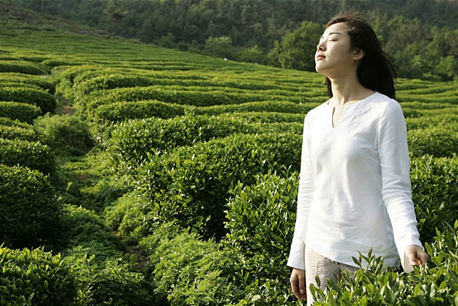 http://www.fjsenfa.cn/pics/default/download/1a9ca90b685c070e49f304582b918b9c.jpg