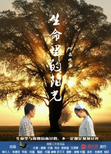生命里的陽光