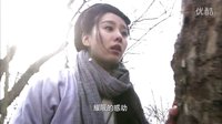 《精忠岳飛》插曲 周筆暢《最美的時(shí)光》MV