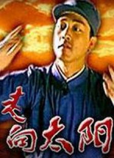走向太陽