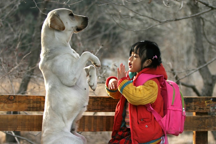 http://www.fjsenfa.cn/pics/default/download/1b6a8c7397e2a80cdacbf8682403db54.jpg