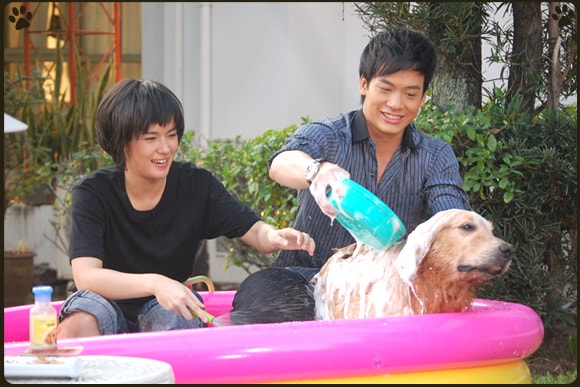 http://www.fjsenfa.cn/pics/default/download/1c2ed7a7e20ba0c8b5b7b0e4bfe3c9fd.jpg