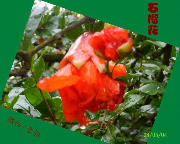 http://www.fjsenfa.cn/pics/default/download/1c8e63c900a66fc63ceebff399e4f81f.jpg