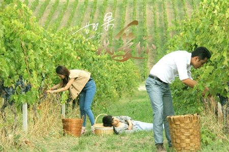 http://www.fjsenfa.cn/pics/default/download/1cfa780d8004b218173e44af8836a989.jpg