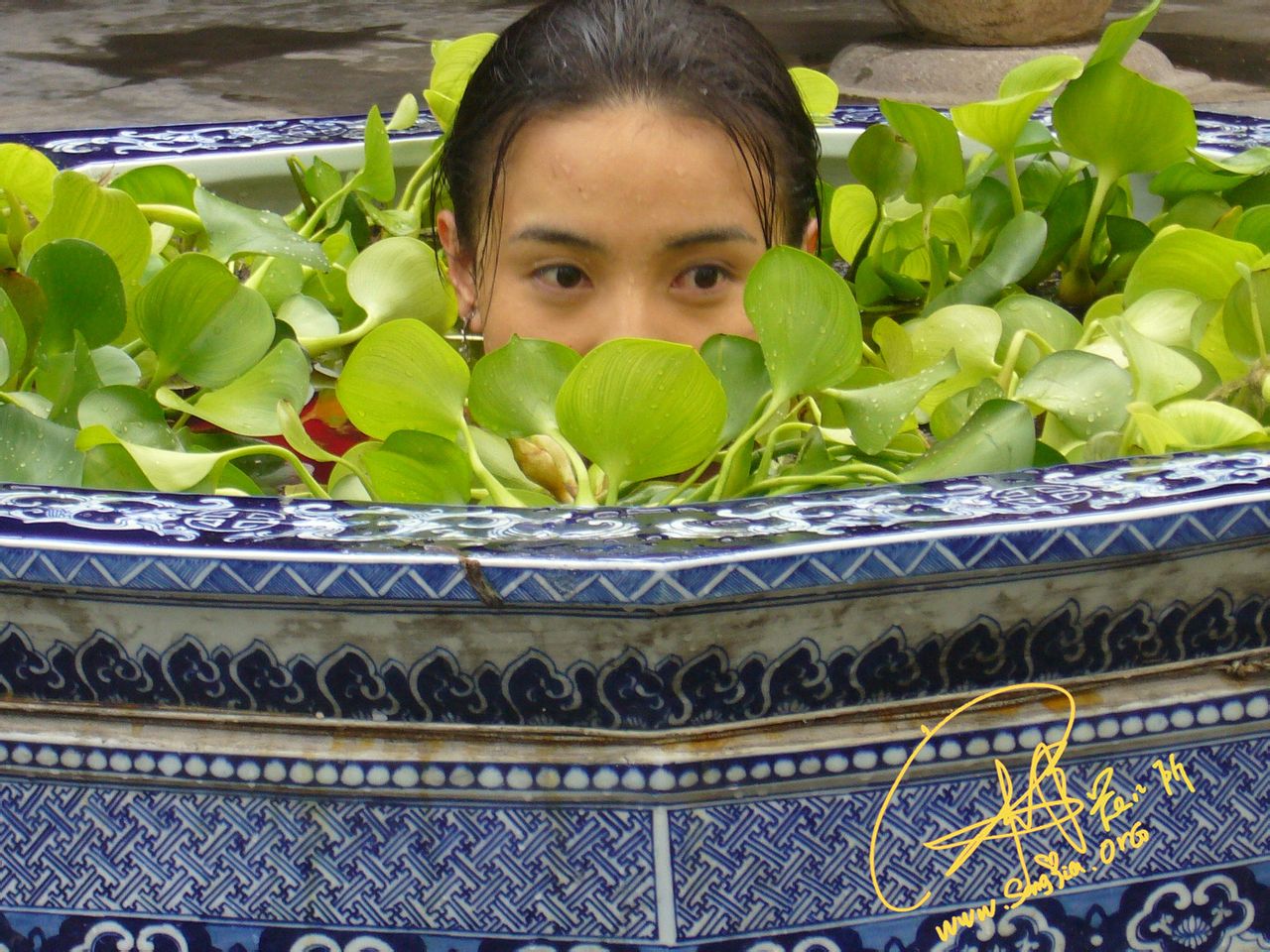 http://www.fjsenfa.cn/pics/default/download/1db5d5a03bef64242fde1e014284f8c2.jpg