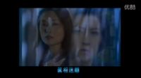 愛(ài)剪輯-刑事偵緝檔案四部曲