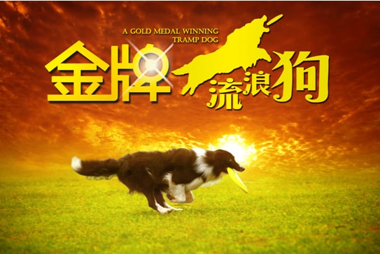 http://www.fjsenfa.cn/pics/default/download/1df46f535024439497e194da6f96066b.jpg