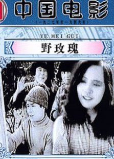 野玫瑰-大陸版