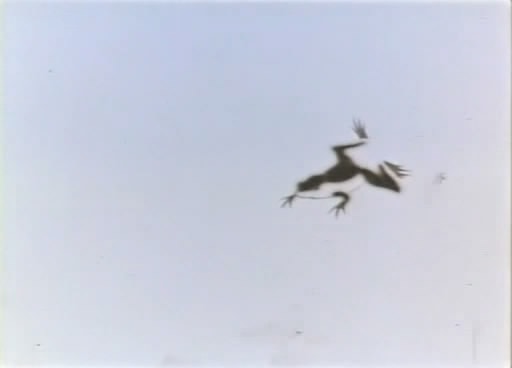 http://www.fjsenfa.cn/pics/default/download/1e33a3fce929c40ab35ead4721b78f2b.jpg