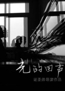 光的回聲
