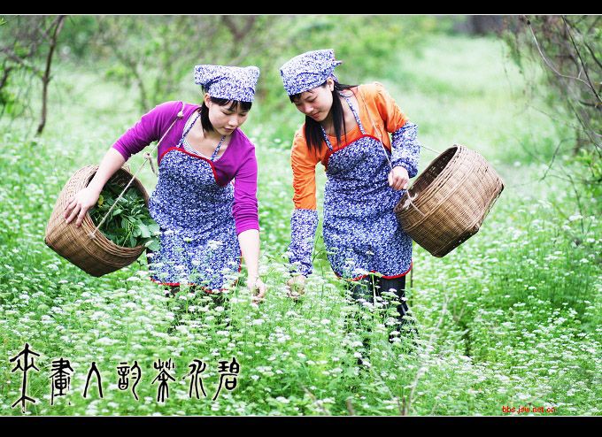 http://www.fjsenfa.cn/pics/default/download/1ef417072f0ce87dafb7c568517cdbe5.jpg