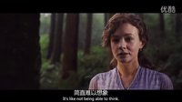 《far away from the madding crowd 遠離塵囂 中文預告片》冰冰字幕組雙語聽譯