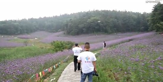 http://www.fjsenfa.cn/pics/default/download/1f4c0cc30bb70722005bec9d046356f2.jpg