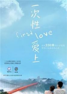 一次性愛上（2013）