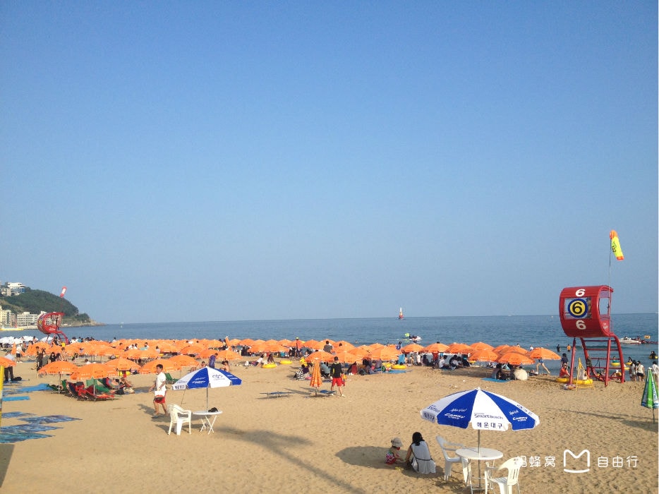 http://www.fjsenfa.cn/pics/default/download/1fbb12b6364d8e20c696c1b67a64510c.jpg