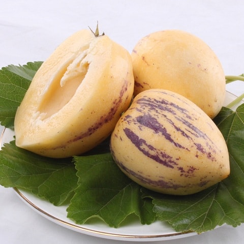 http://www.fjsenfa.cn/pics/default/download/2063c6c369753196175b807dcba6cf87.jpg