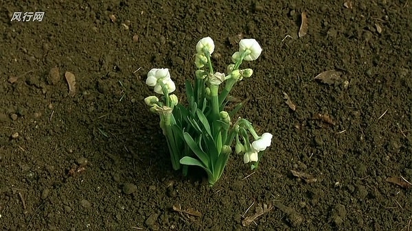 http://www.fjsenfa.cn/pics/default/download/20ceca160009dc71073acba587c37598.jpg