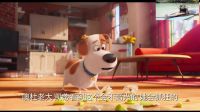 《愛寵大機(jī)密》個(gè)性預(yù)告 寵物上演萌寵歷險(xiǎn)記