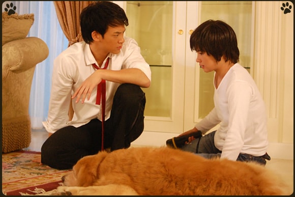 http://www.fjsenfa.cn/pics/default/download/22bb919a7ddde5d3b35794d283c9a15f.jpg