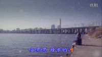 我父親的草原母親的河 云飛 DJ舞曲