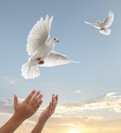 http://www.fjsenfa.cn/pics/default/download/238deaef78d36fd549899d553b8a00d9.jpg