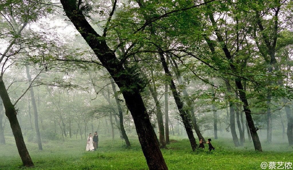 http://www.fjsenfa.cn/pics/default/download/240a48e33e930c30c4a0a2ade73bb8ab.jpg