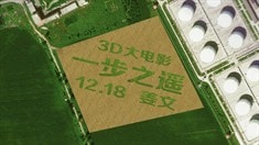 機(jī)場(chǎng)麥田廣告