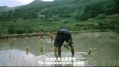 預(yù)告片